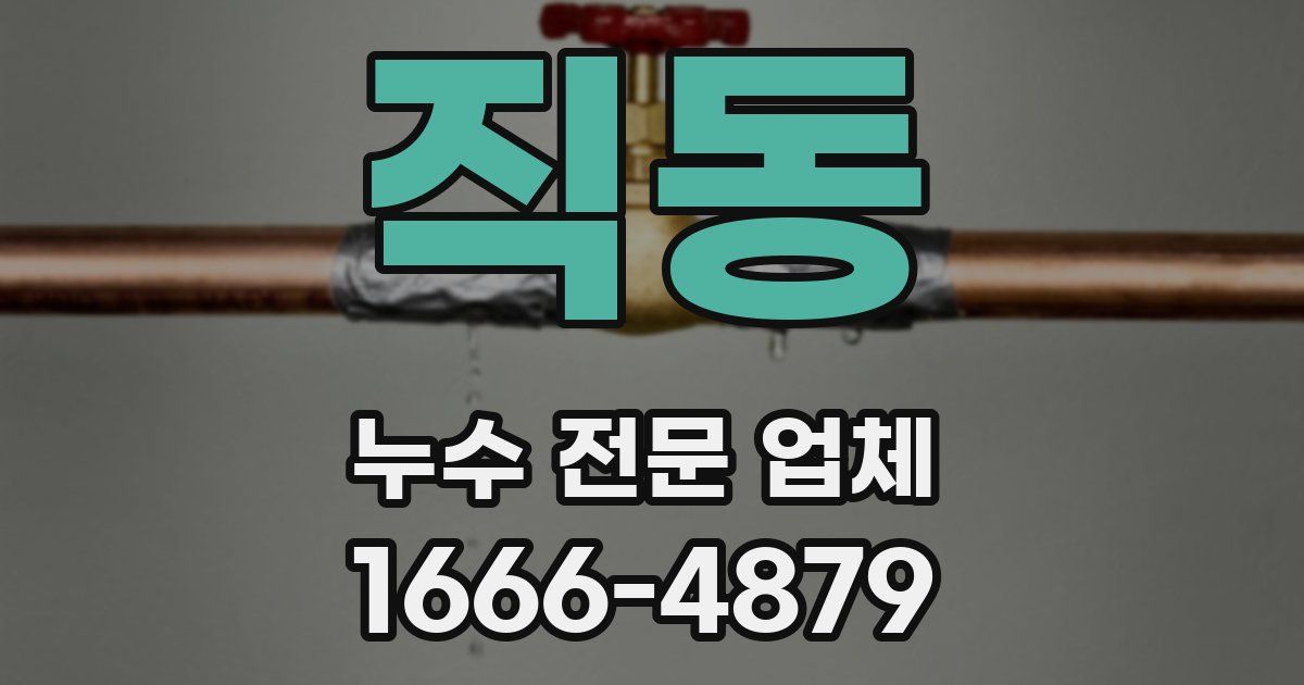 직동 누수 전문 업체