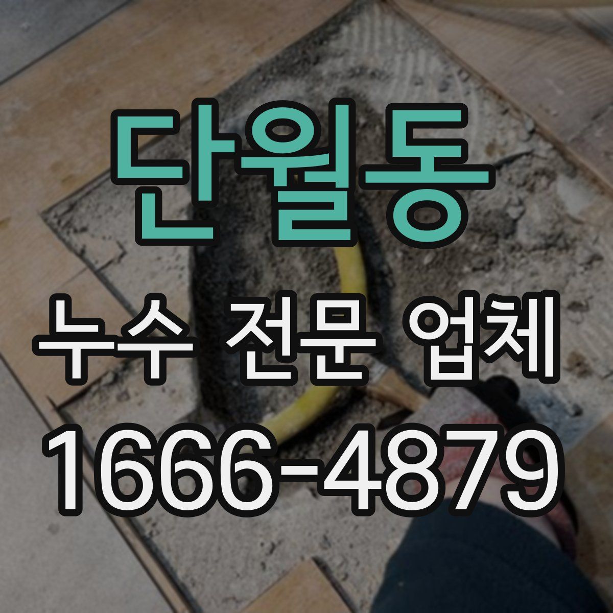 단월동 누수 전문 업체