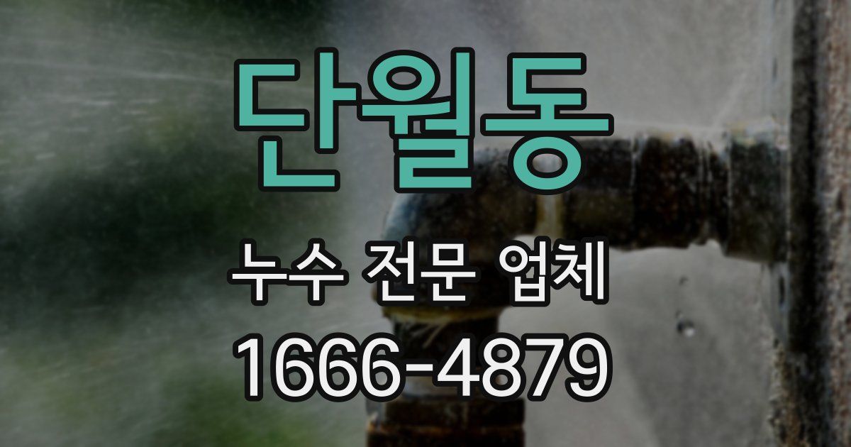 단월동 누수 전문 업체