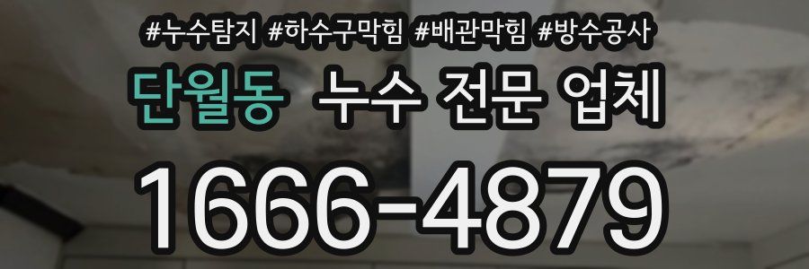 단월동 누수 전문 업체