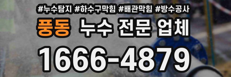풍동 누수 전문 업체