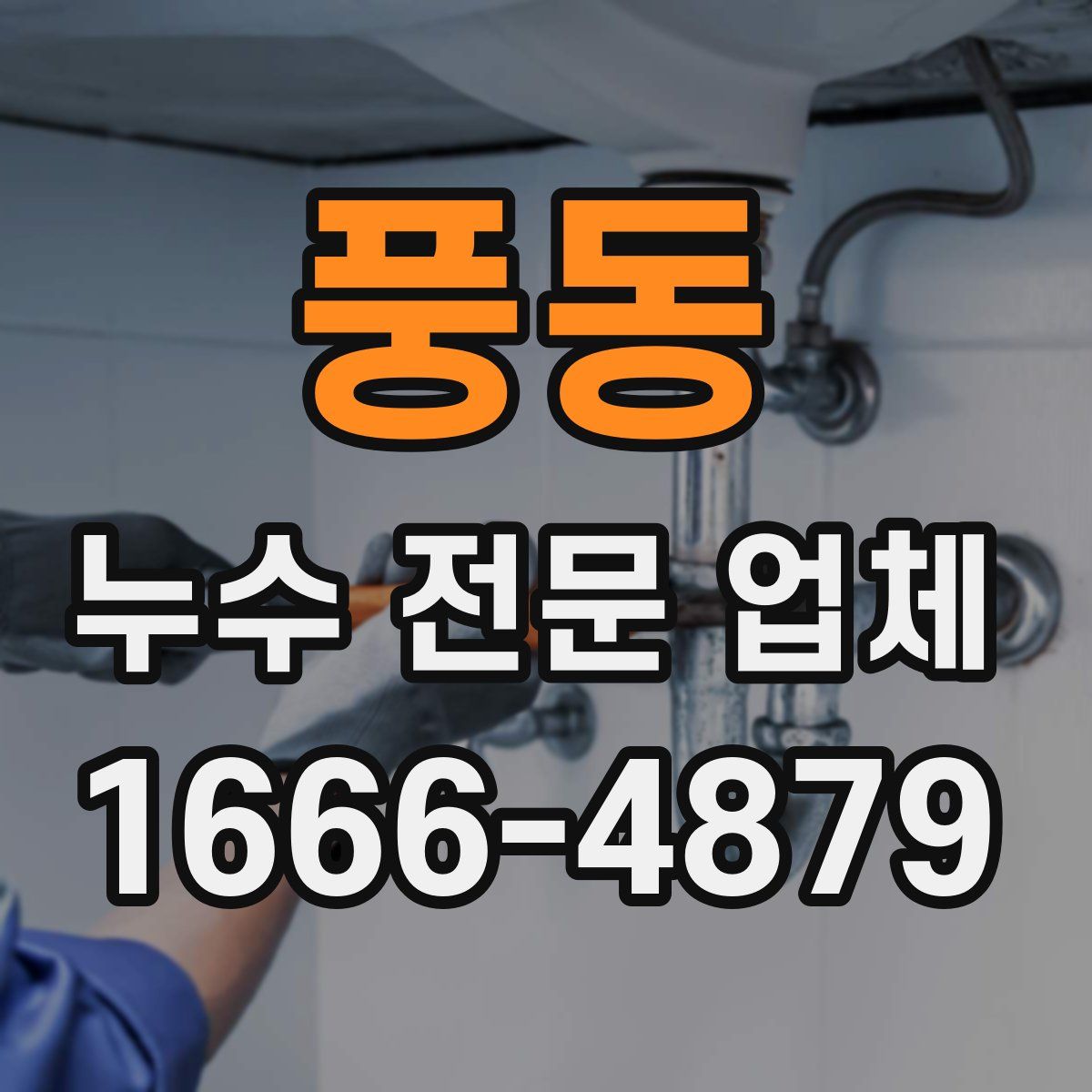 풍동 누수 전문 업체
