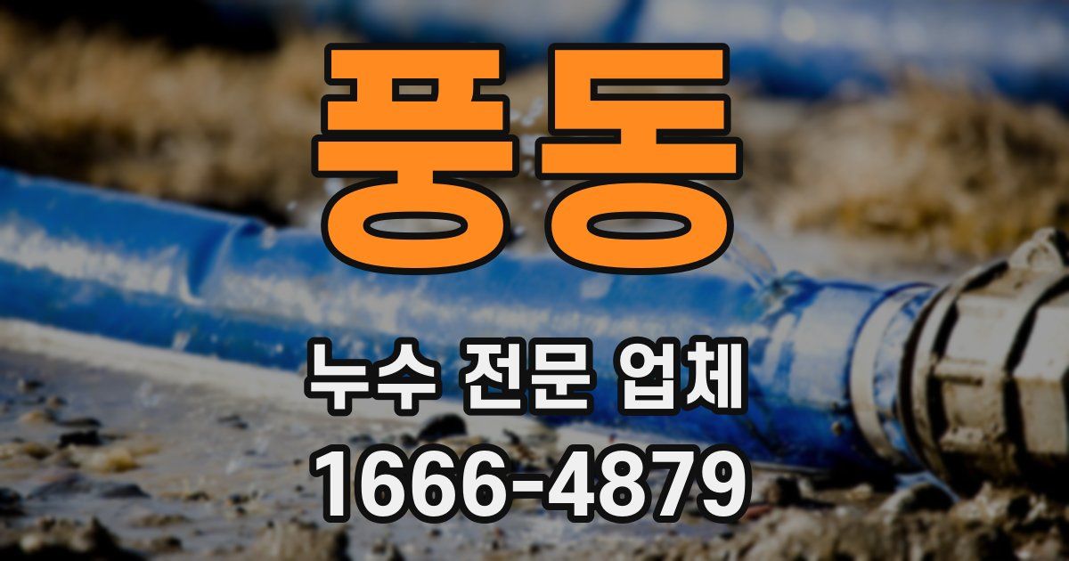 풍동 누수 전문 업체