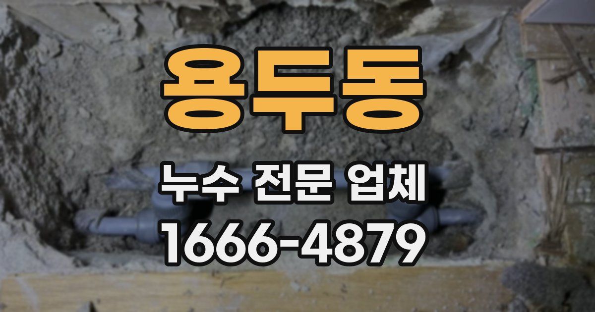 용두동 누수 전문 업체
