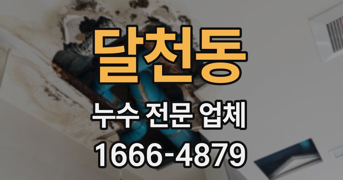 달천동 누수 전문 업체