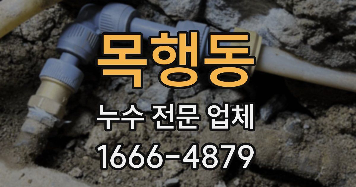 목행동 누수 전문 업체