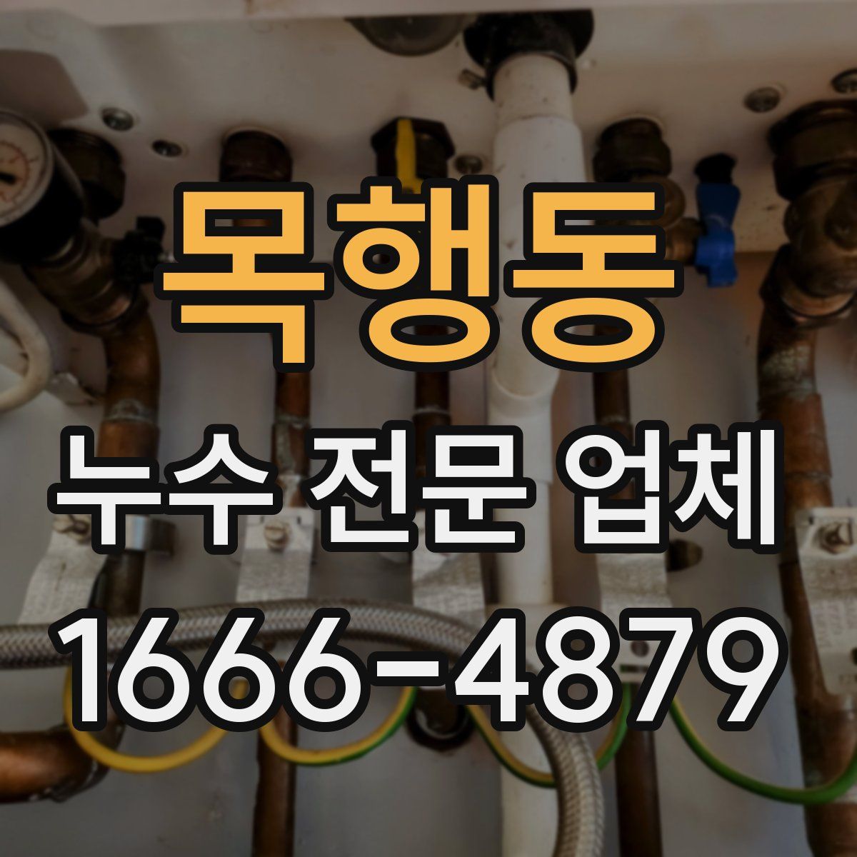 목행동 누수 전문 업체