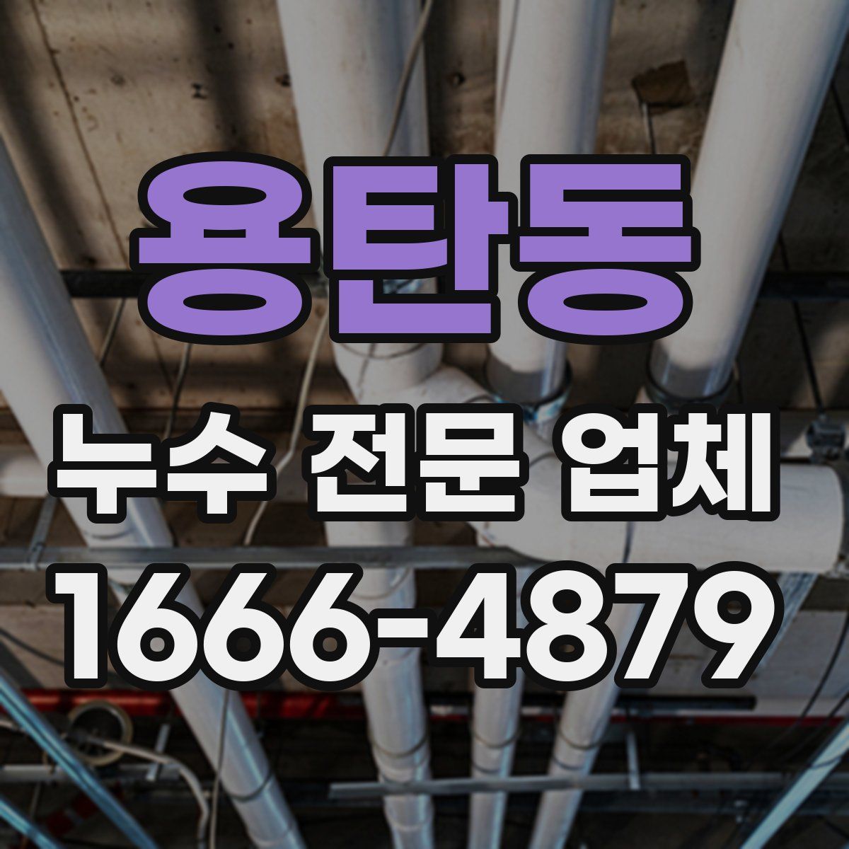 용탄동 누수 전문 업체