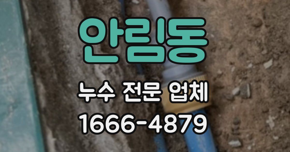 안림동 누수 전문 업체
