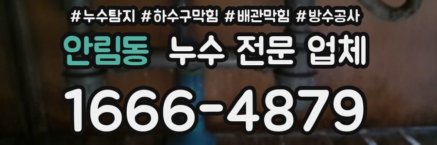 안림동 누수 전문 업체