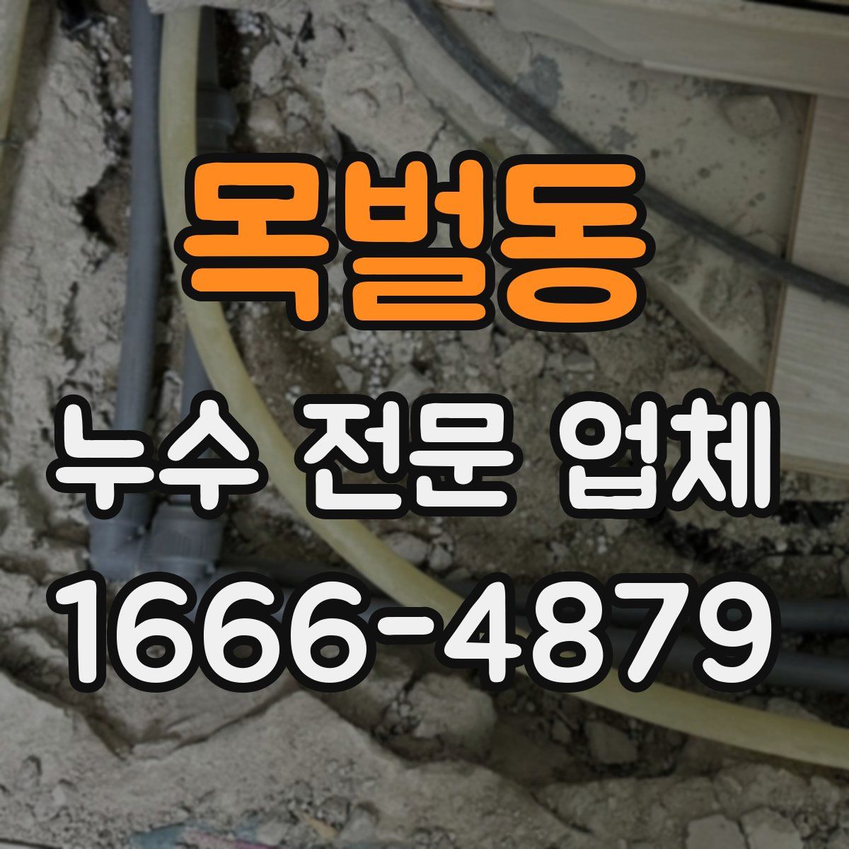 목벌동 누수 전문 업체