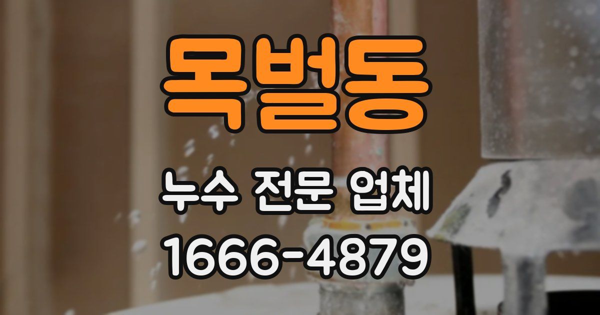 목벌동 누수 전문 업체