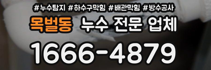 목벌동 누수 전문 업체
