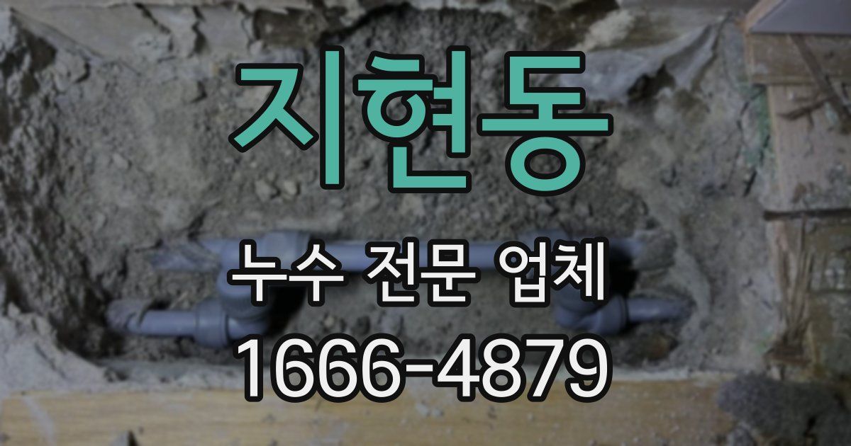 지현동 누수 전문 업체