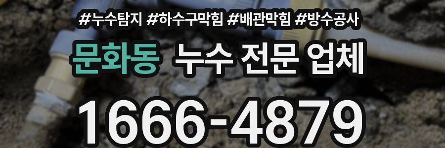 문화동 누수 전문 업체