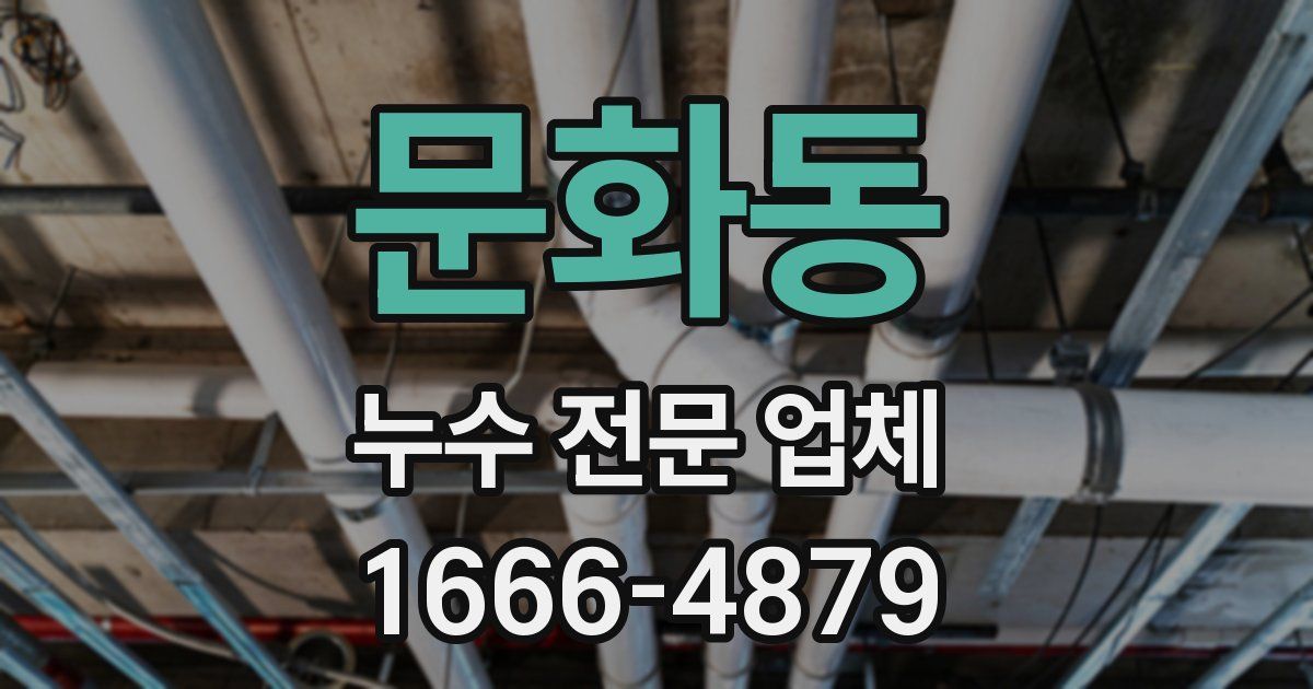 문화동 누수 전문 업체