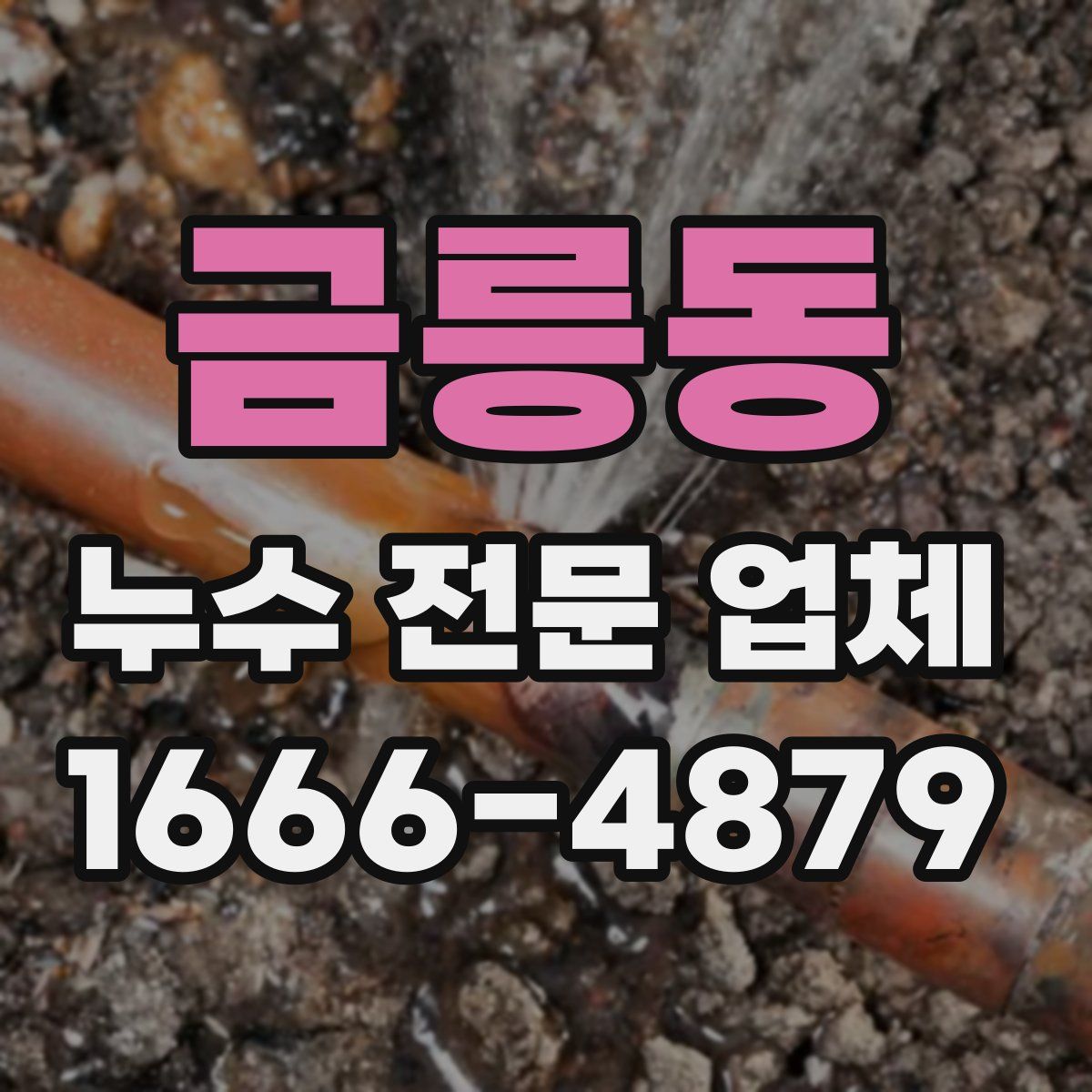 금릉동 누수 전문 업체