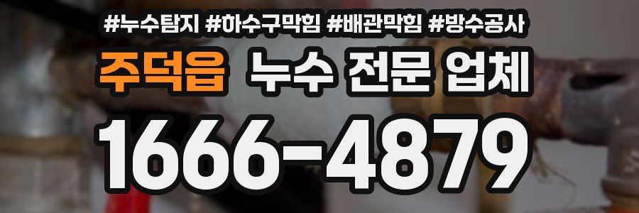 주덕읍 누수 전문 업체