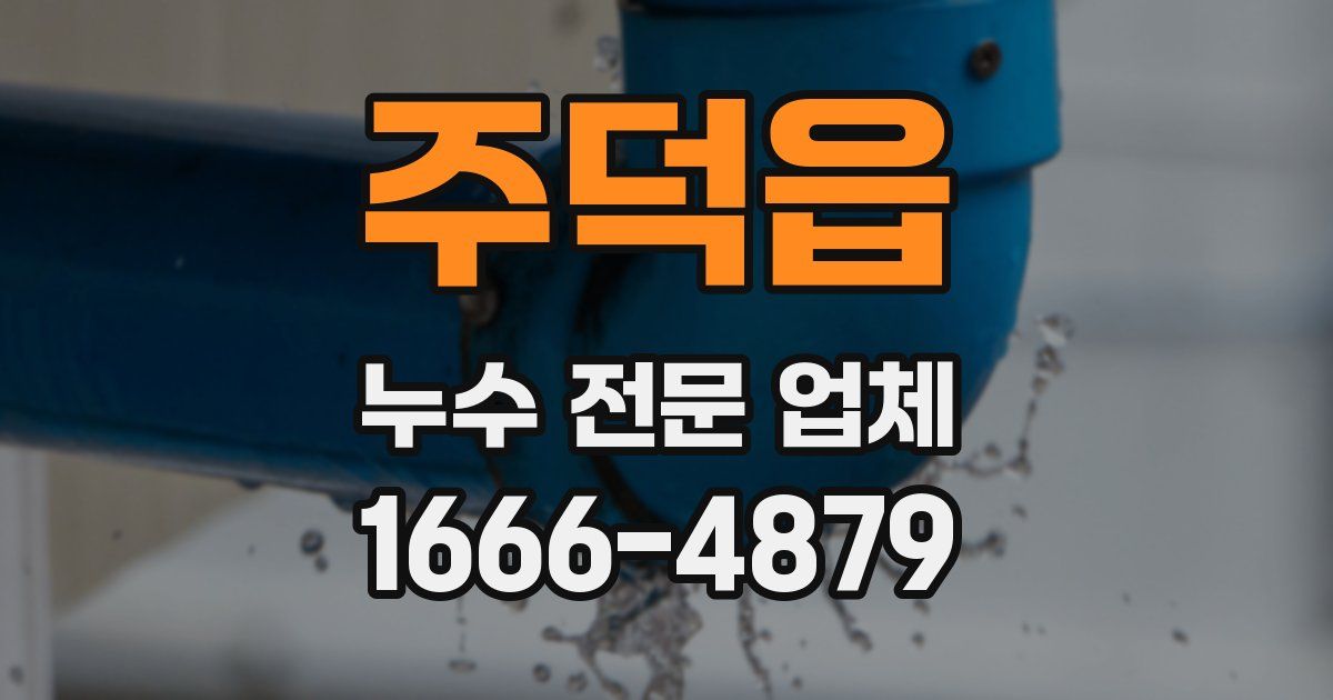 주덕읍 누수 전문 업체