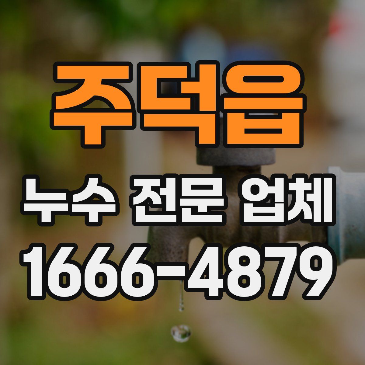 주덕읍 누수 전문 업체
