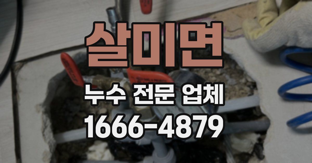 살미면 누수 전문 업체