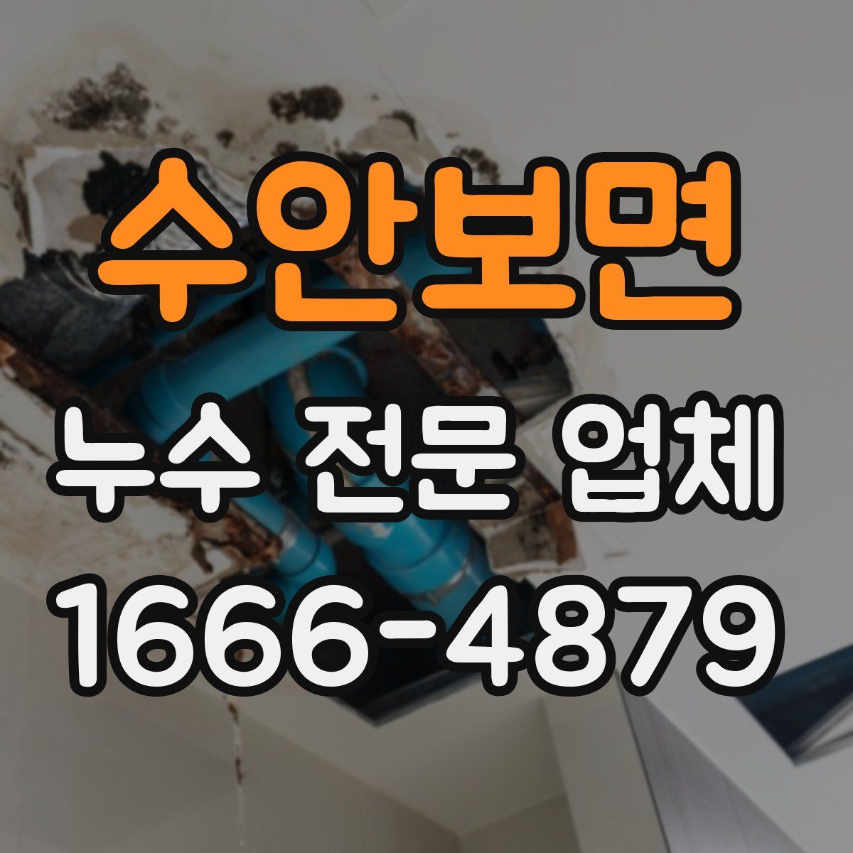 수안보면 누수 전문 업체