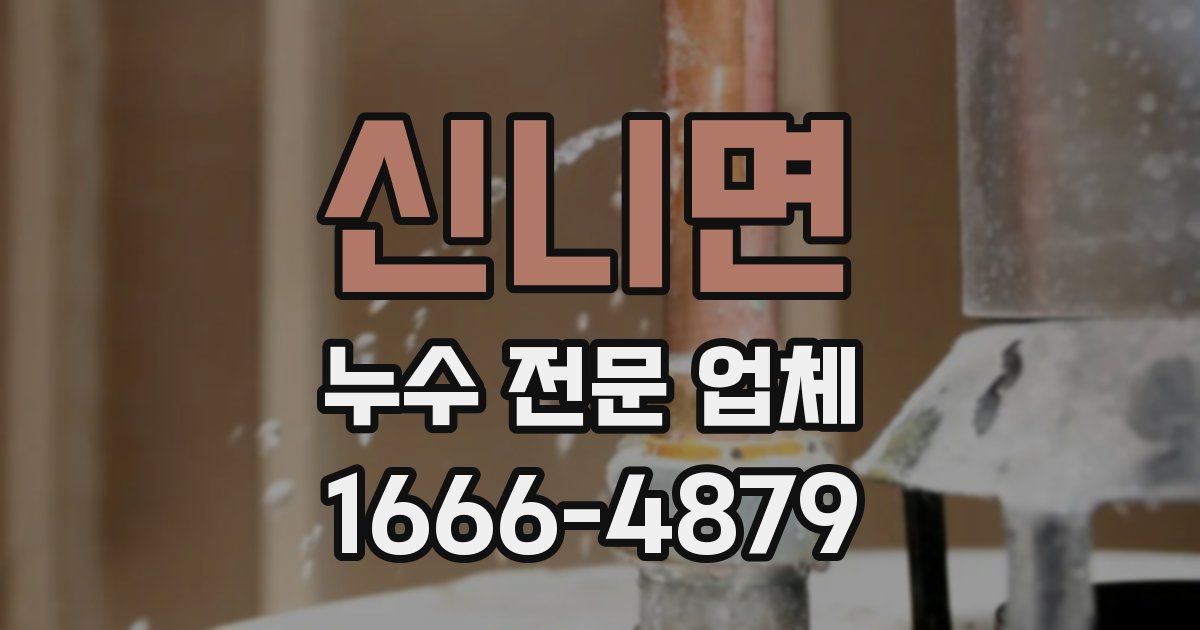 신니면 누수 전문 업체