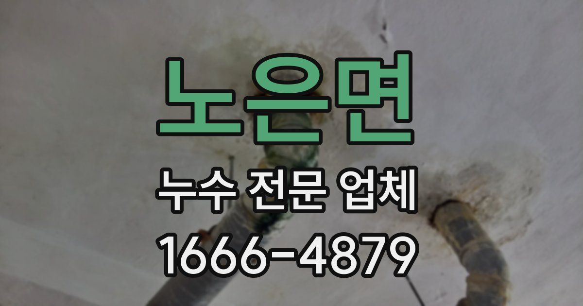 노은면 누수 전문 업체