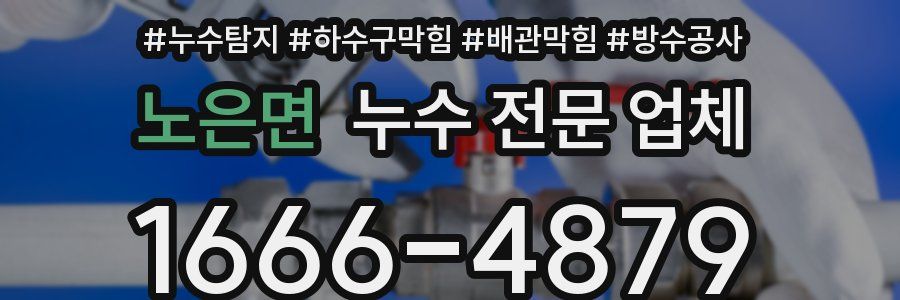 노은면 누수 전문 업체