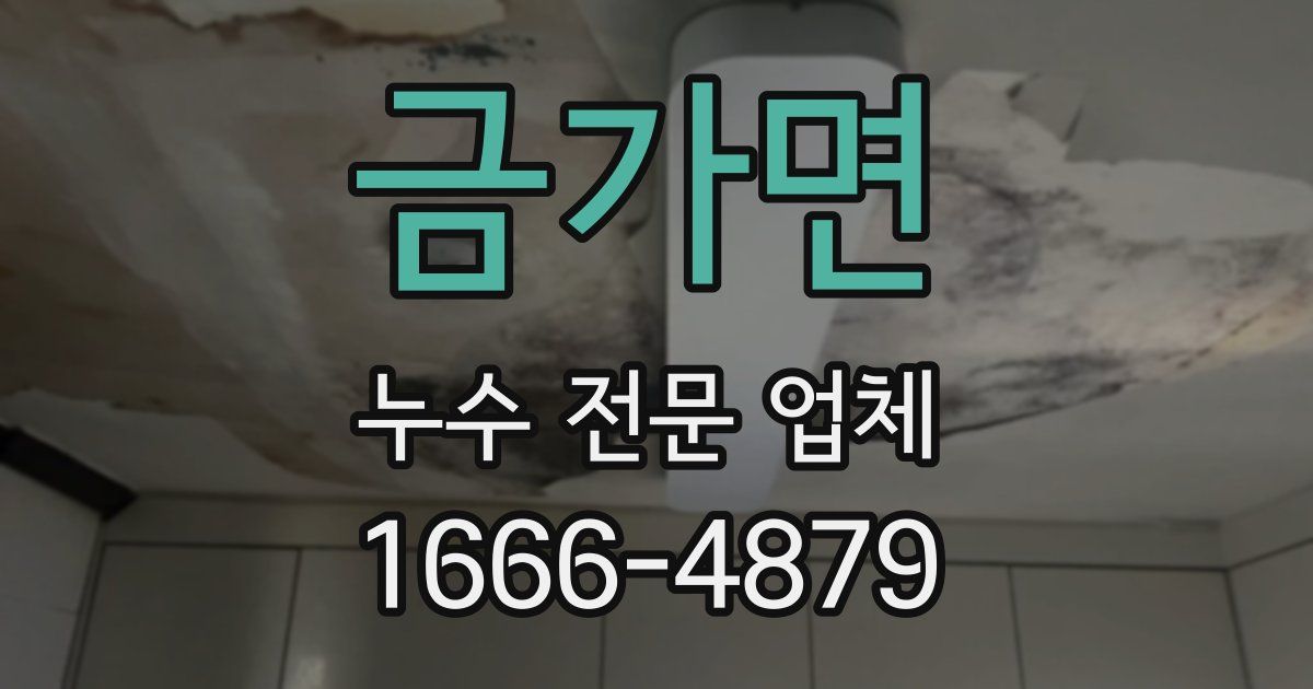금가면 누수 전문 업체
