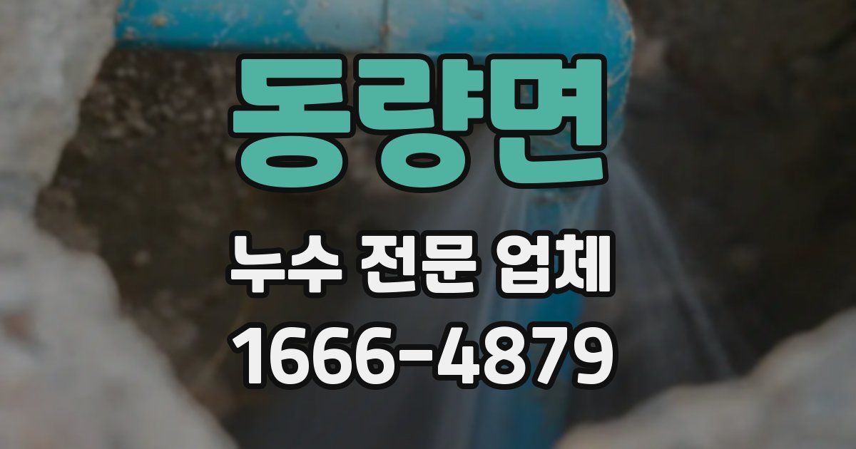 동량면 누수 전문 업체
