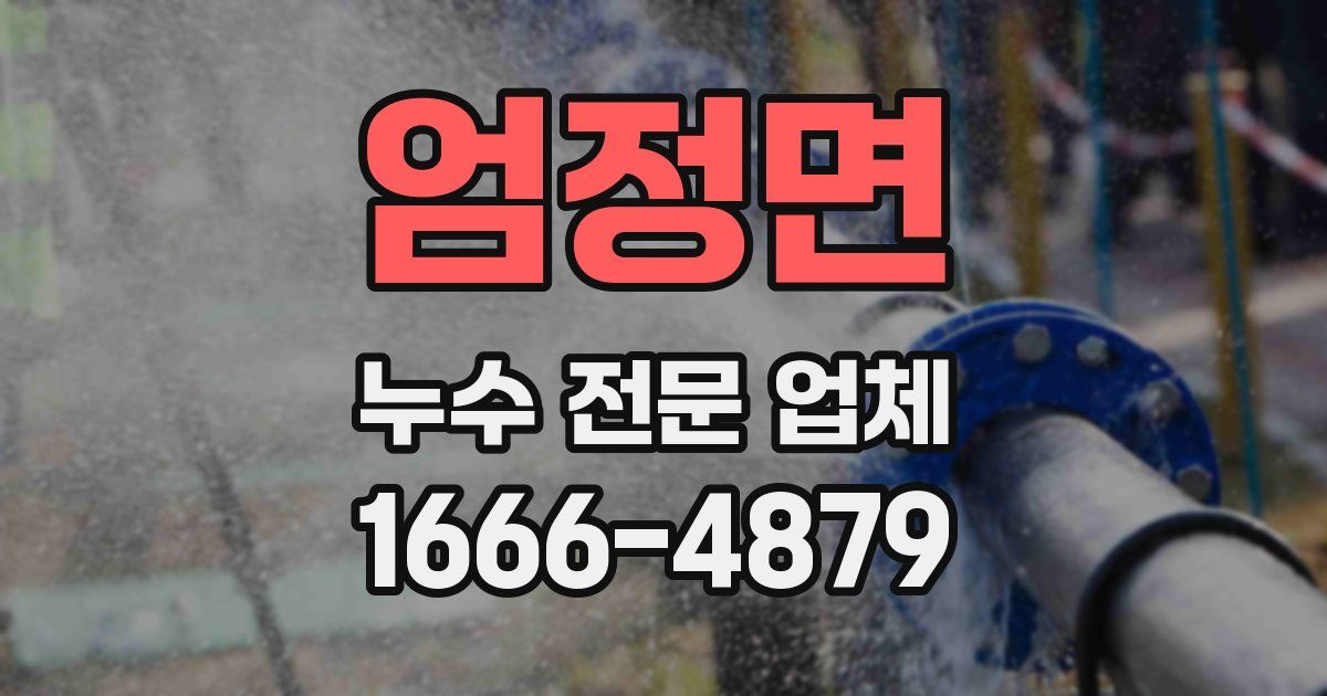 엄정면 누수 전문 업체