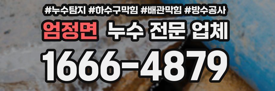엄정면 누수 전문 업체