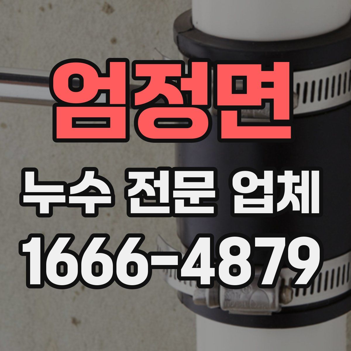 엄정면 누수 전문 업체