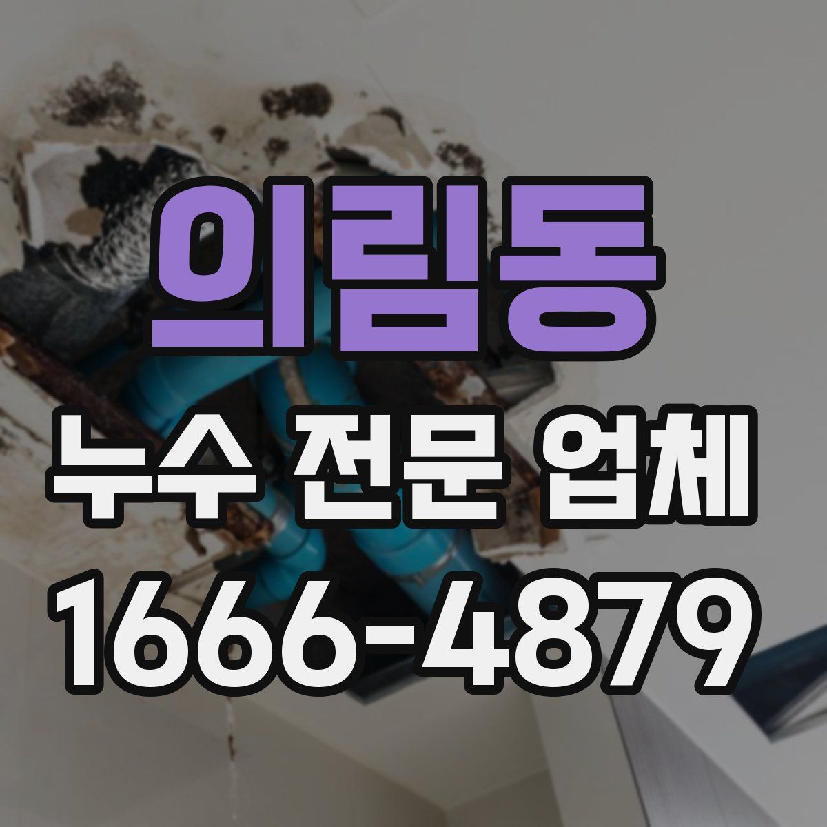 의림동 누수 전문 업체