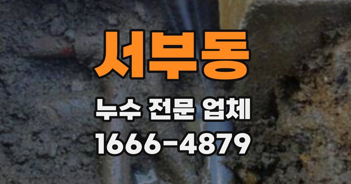서부동 누수 전문 업체