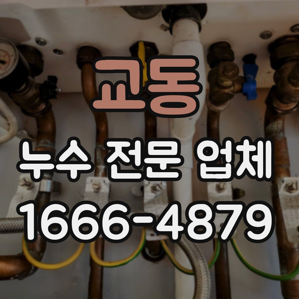 교동 누수 전문 업체