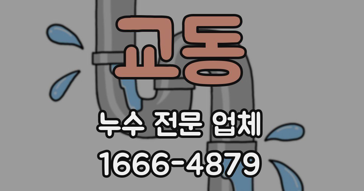 교동 누수 전문 업체