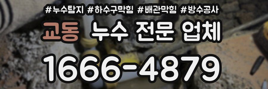 교동 누수 전문 업체