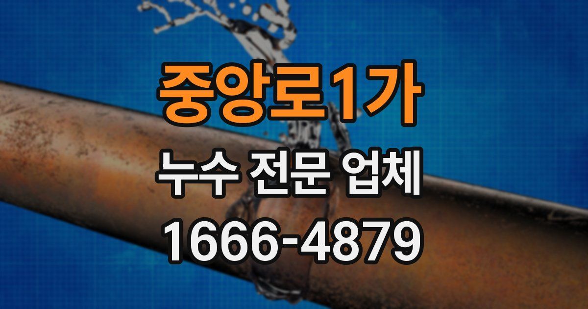 중앙로1가 누수 전문 업체