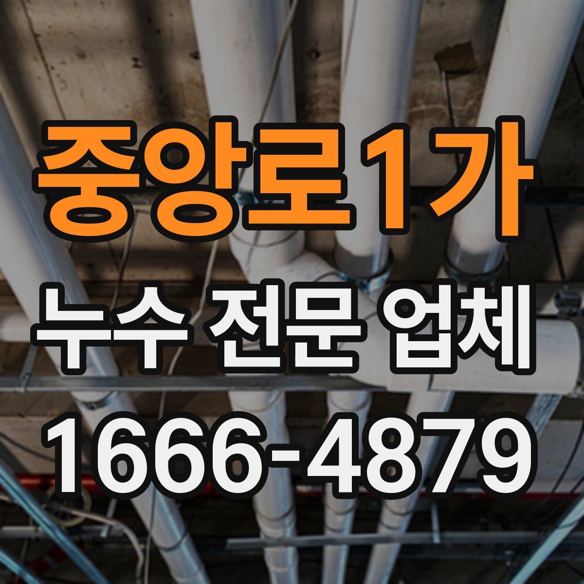 중앙로1가 누수 전문 업체