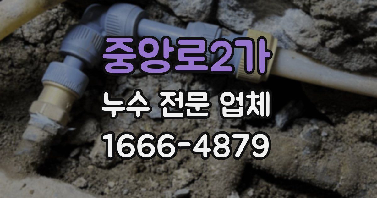 중앙로2가 누수 전문 업체