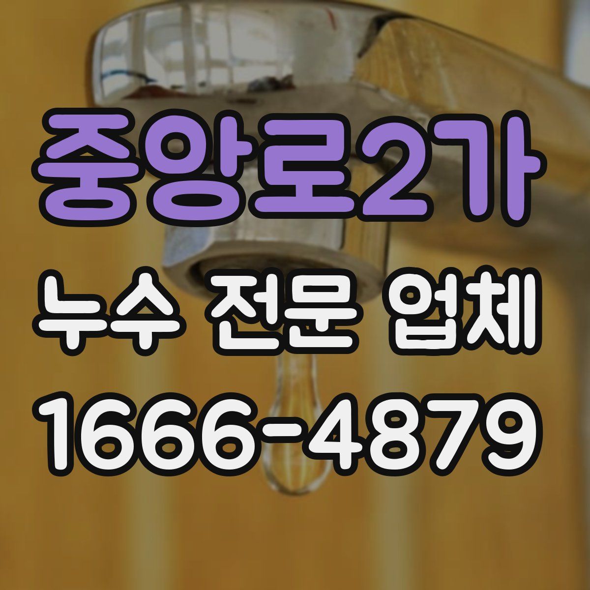 중앙로2가 누수 전문 업체