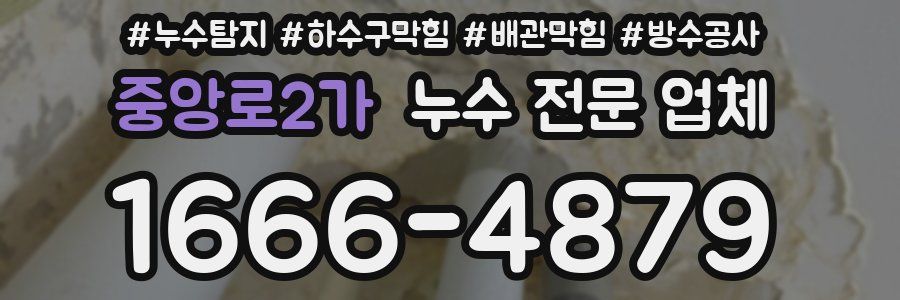 중앙로2가 누수 전문 업체
