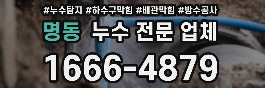 명동 누수 전문 업체