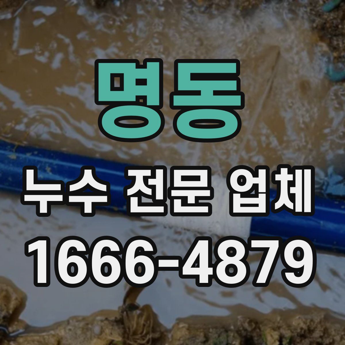 명동 누수 전문 업체