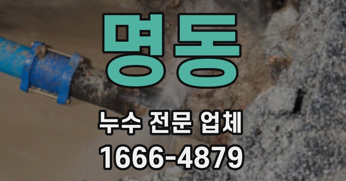 명동 누수 전문 업체