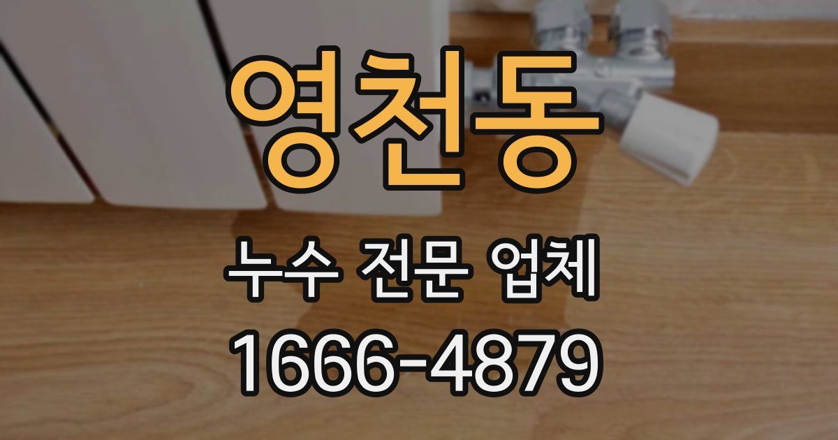 영천동 누수 전문 업체