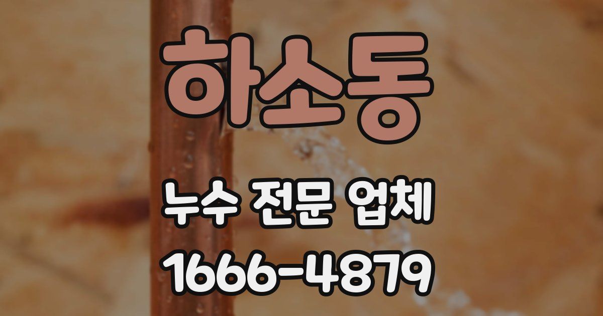 하소동 누수 전문 업체