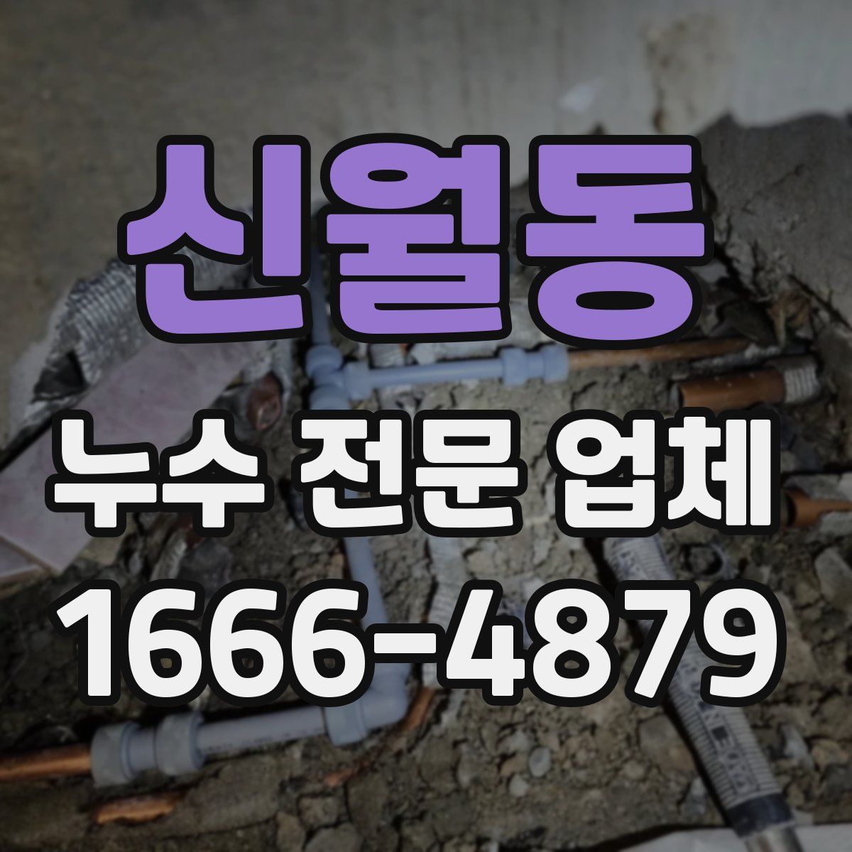 신월동 누수 전문 업체